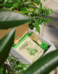 Matcha Y’all Bundle